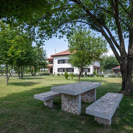 Pensiunea Negoiu Porumbacu de Sus Bagian luar foto