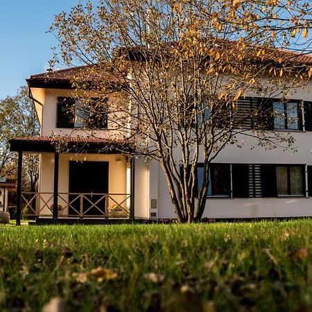 Pensiunea Negoiu Porumbacu de Sus Bagian luar foto