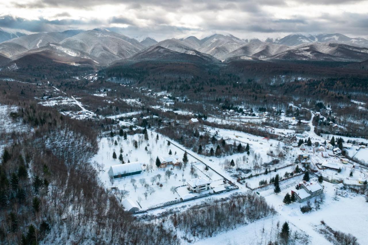 Pensiunea Negoiu Porumbacu de Sus Bagian luar foto