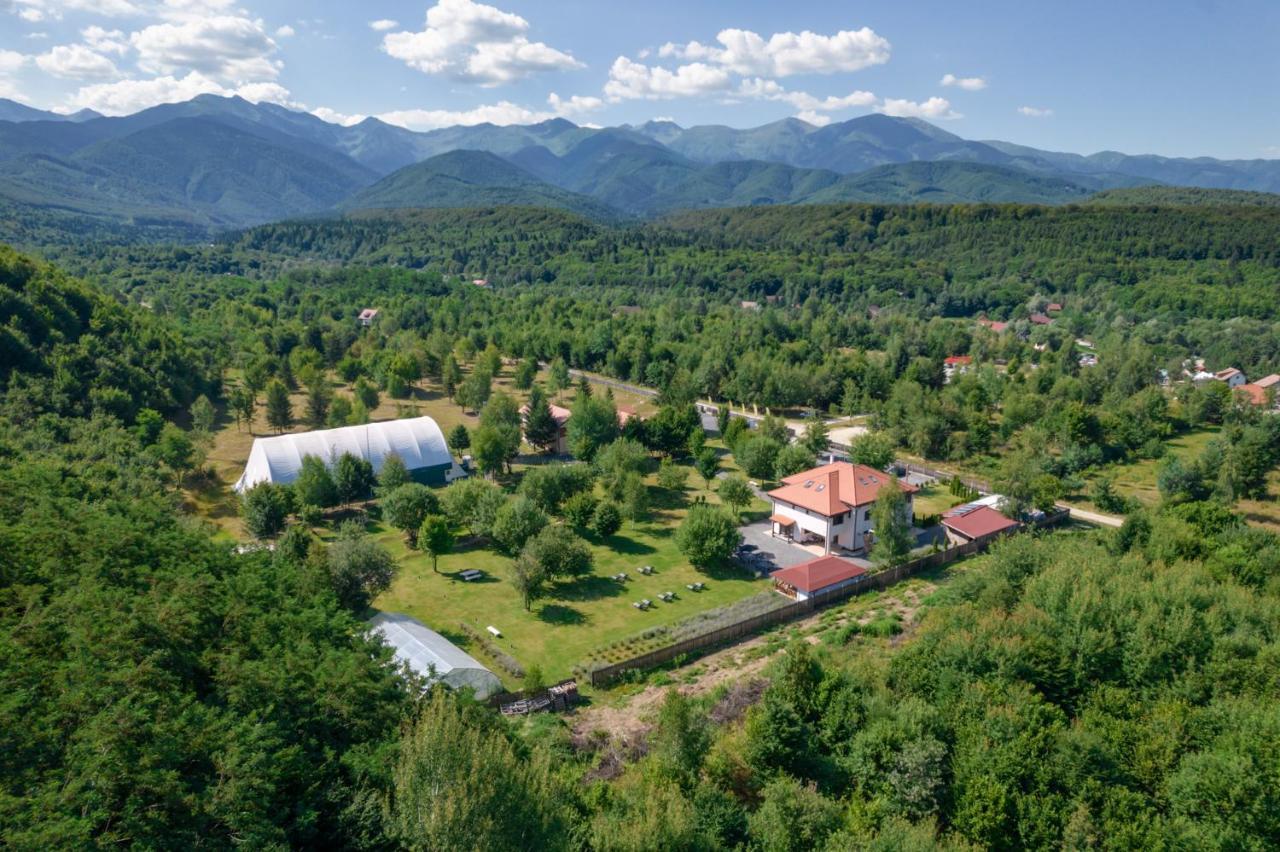 Pensiunea Negoiu Porumbacu de Sus Bagian luar foto