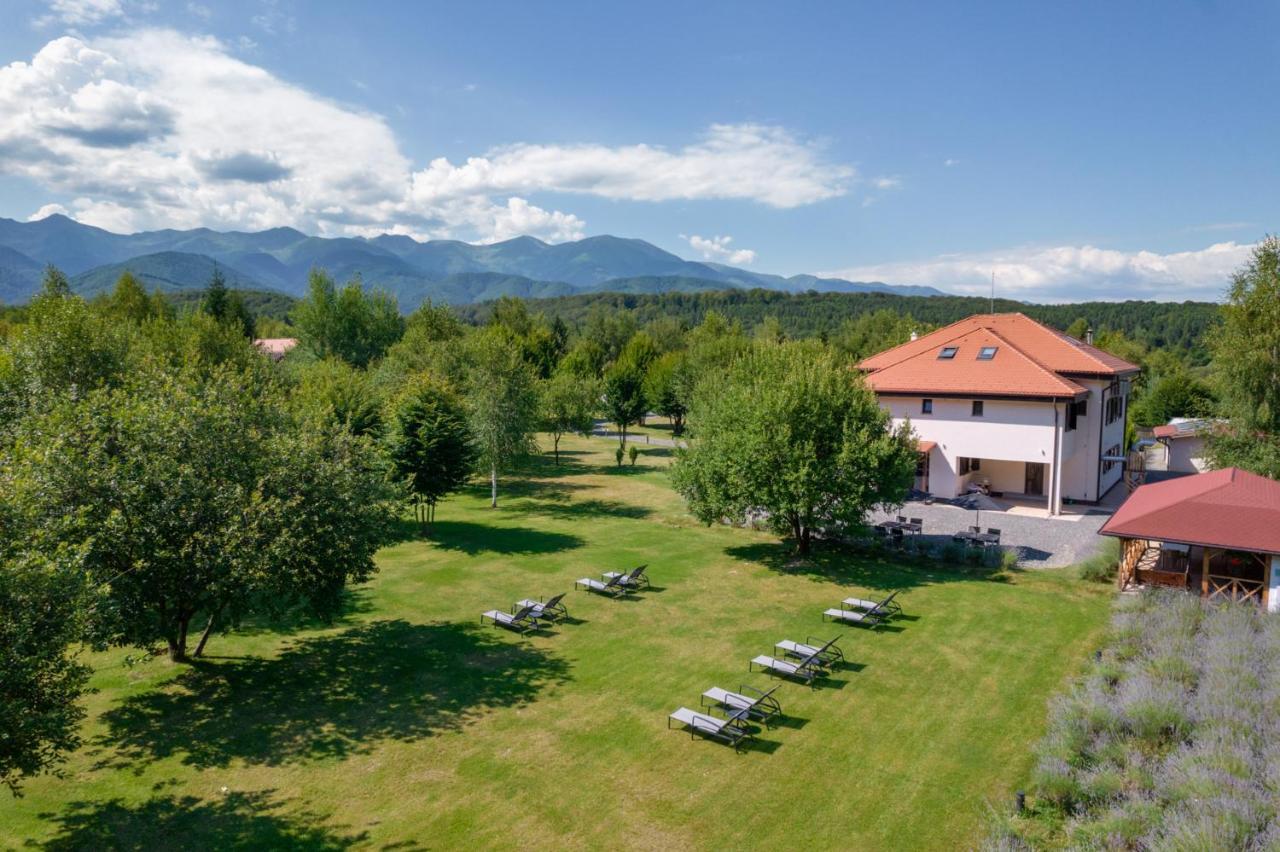 Pensiunea Negoiu Porumbacu de Sus Bagian luar foto