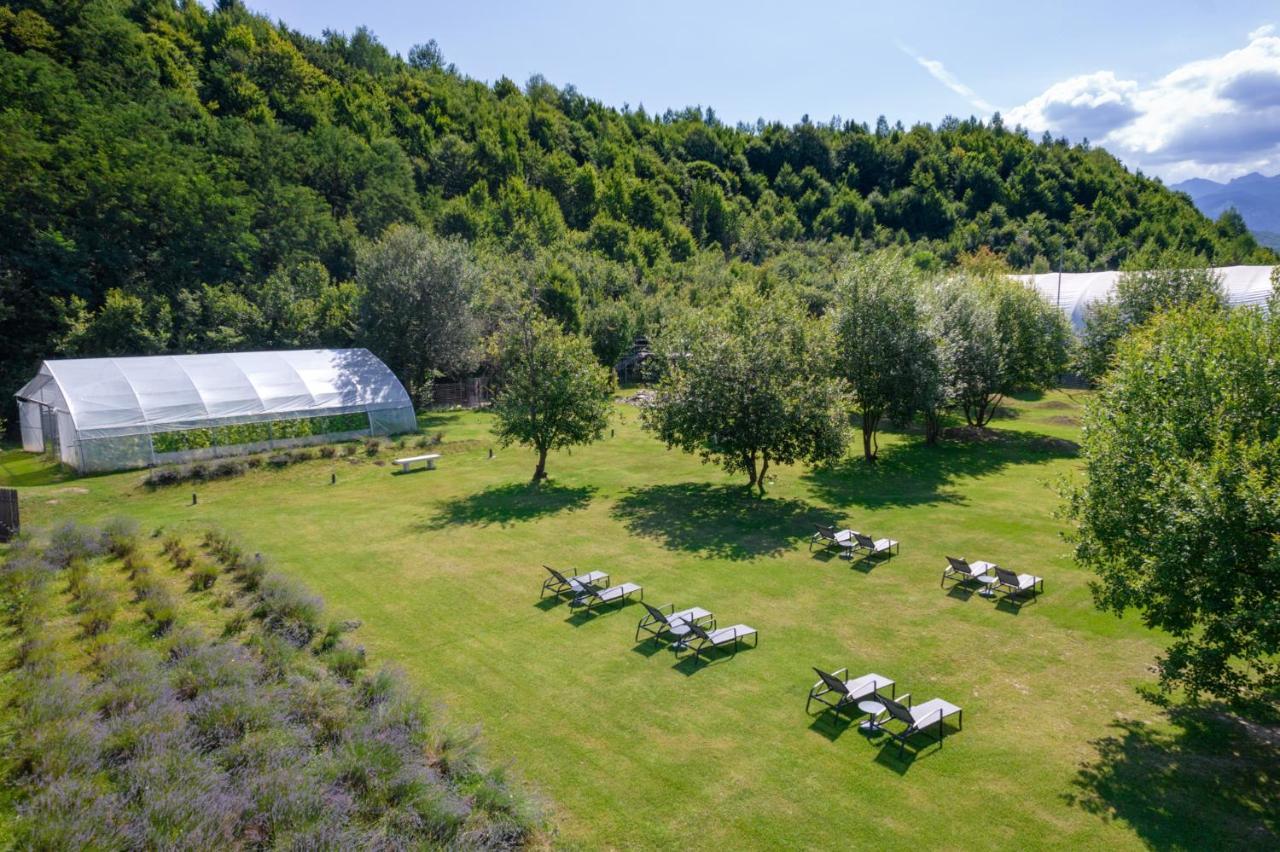 Pensiunea Negoiu Porumbacu de Sus Bagian luar foto
