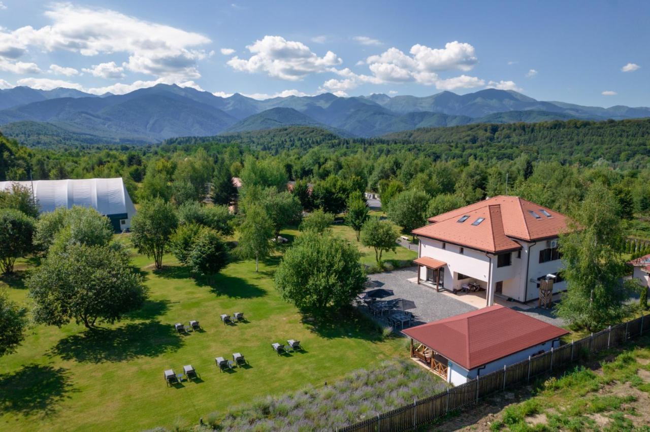 Pensiunea Negoiu Porumbacu de Sus Bagian luar foto