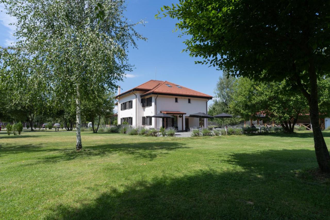 Pensiunea Negoiu Porumbacu de Sus Bagian luar foto