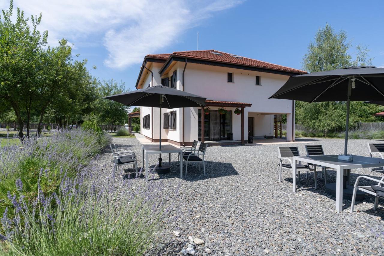 Pensiunea Negoiu Porumbacu de Sus Bagian luar foto