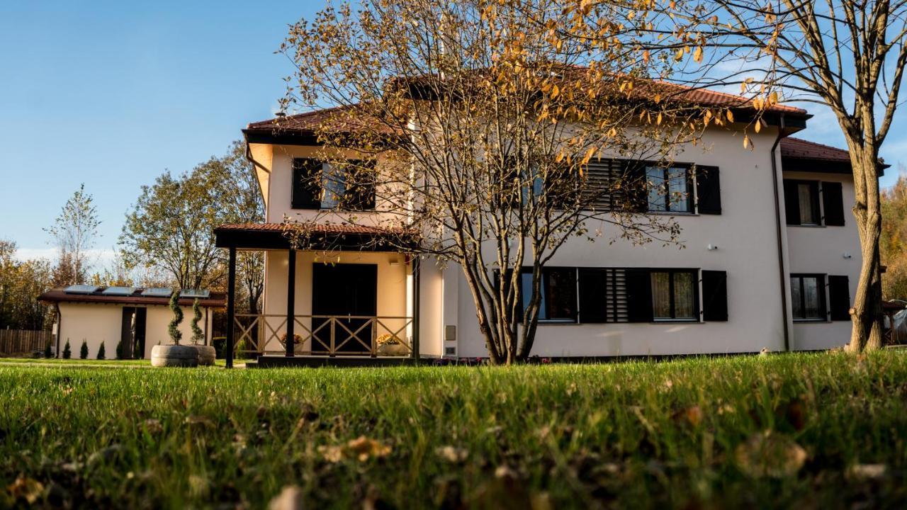 Pensiunea Negoiu Porumbacu de Sus Bagian luar foto