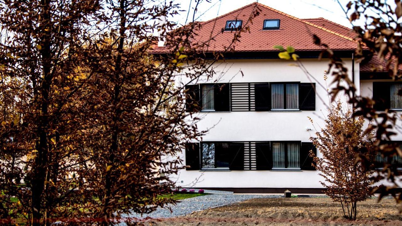 Pensiunea Negoiu Porumbacu de Sus Bagian luar foto
