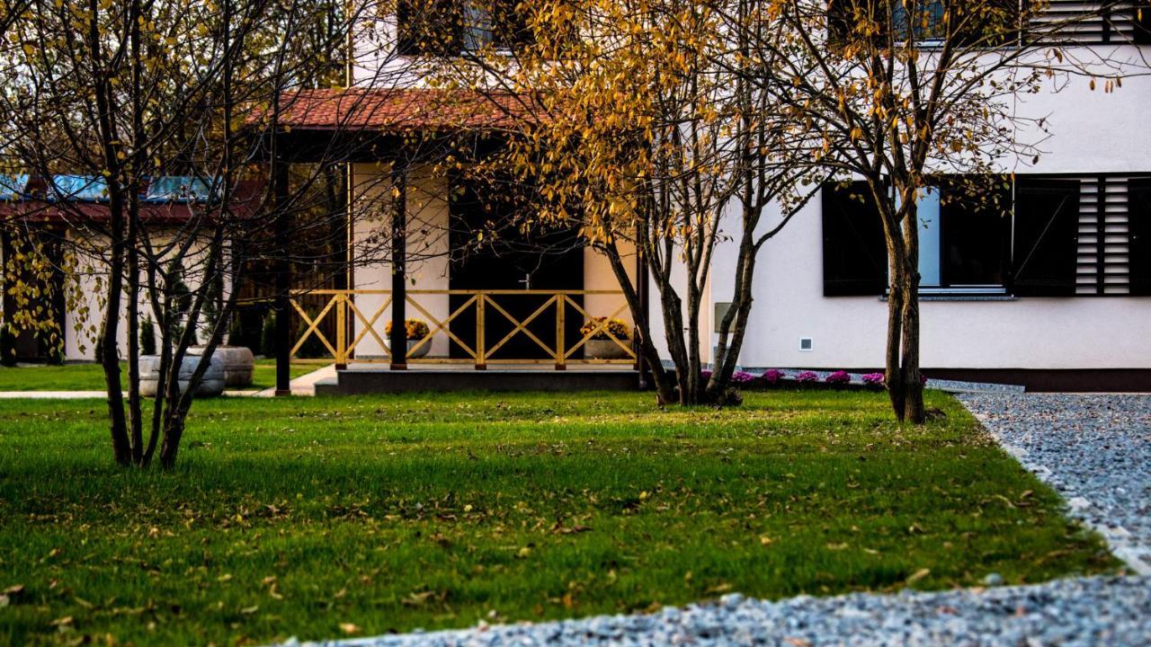 Pensiunea Negoiu Porumbacu de Sus Bagian luar foto